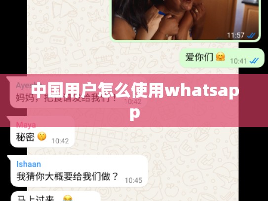 中国用户怎么使用whatsapp