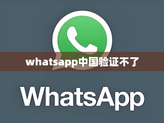 whatsapp中国验证不了