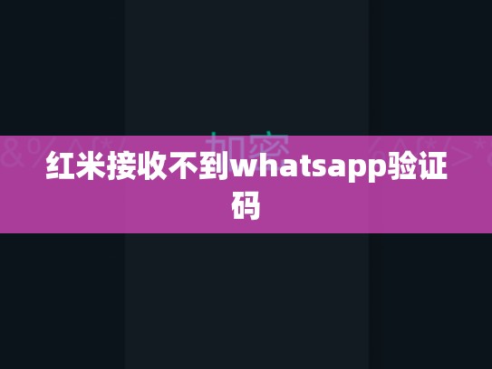 红米接收不到whatsapp验证码