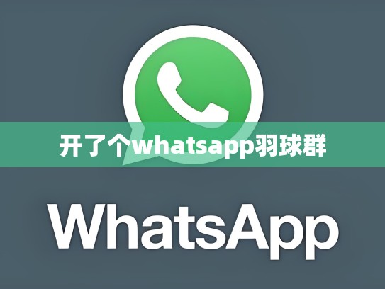 开了个whatsapp羽球群