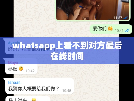 whatsapp上看不到对方最后在线时间