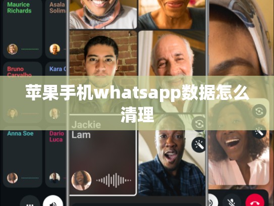 苹果手机whatsapp数据怎么清理