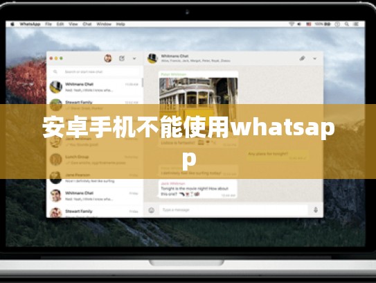 安卓手机不能使用whatsapp