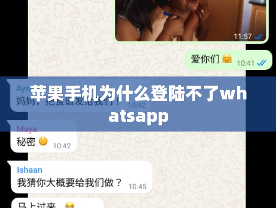 苹果手机为什么登陆不了whatsapp