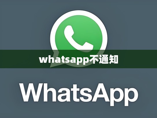 whatsapp不通知