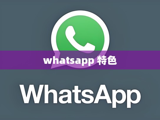 whatsapp 特色