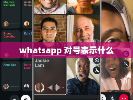 whatsapp 对号表示什么