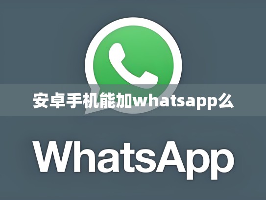 安卓手机能加whatsapp么