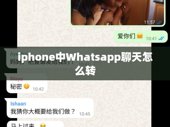 iphone中Whatsapp聊天怎么转