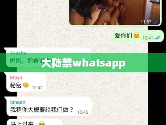 大陆禁whatsapp