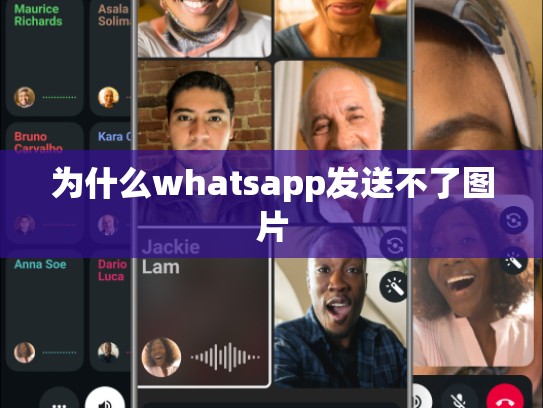 为什么whatsapp发送不了图片