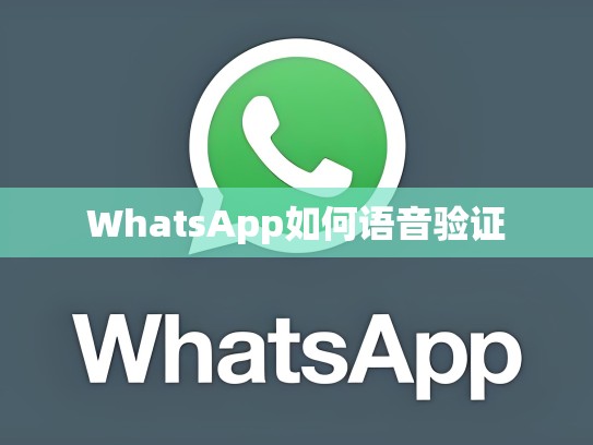 WhatsApp如何语音验证