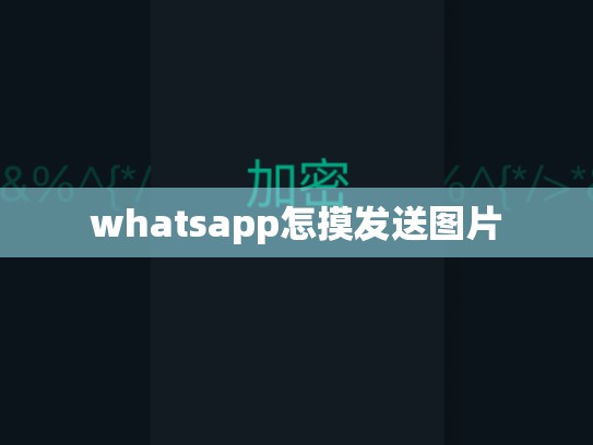 whatsapp怎摸发送图片