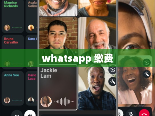whatsapp 缴费