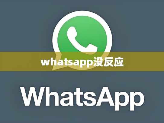 whatsapp没反应