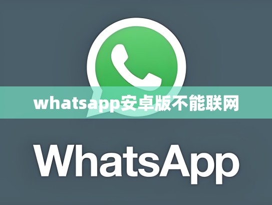 whatsapp安卓版不能联网