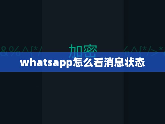 whatsapp怎么看消息状态