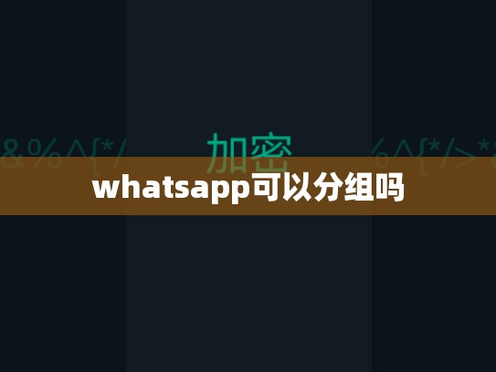 whatsapp可以分组吗