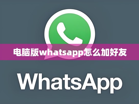 电脑版whatsapp怎么加好友