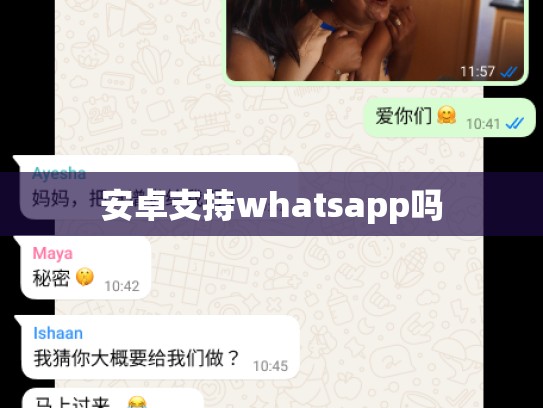 安卓支持whatsapp吗