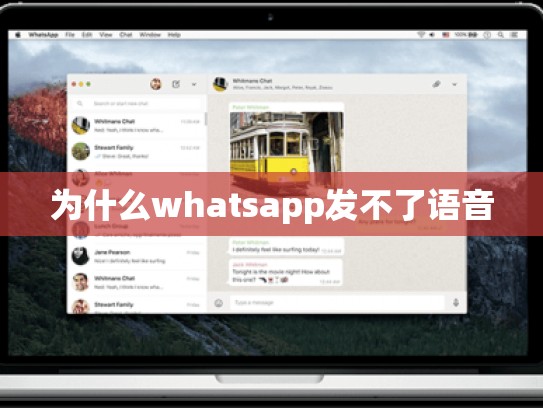 为什么whatsapp发不了语音