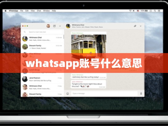 whatsapp账号什么意思