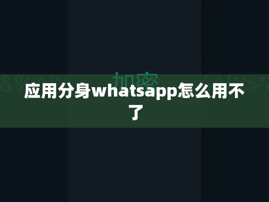 应用分身whatsapp怎么用不了