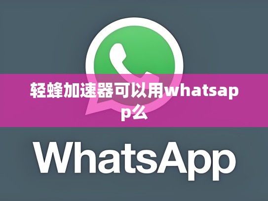 轻蜂加速器可以用whatsapp么