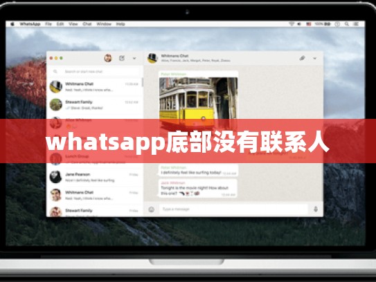 whatsapp底部没有联系人