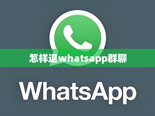怎样退whatsapp群聊