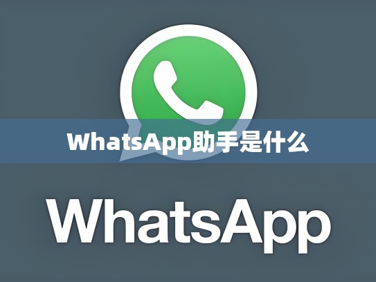 WhatsApp助手是什么