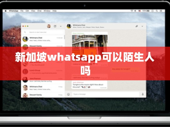 新加坡whatsapp可以陌生人吗