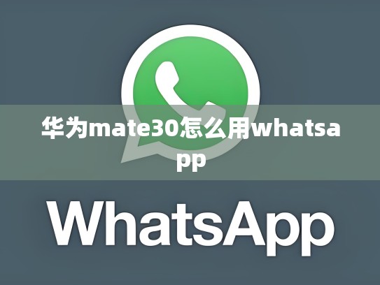 华为mate30怎么用whatsapp