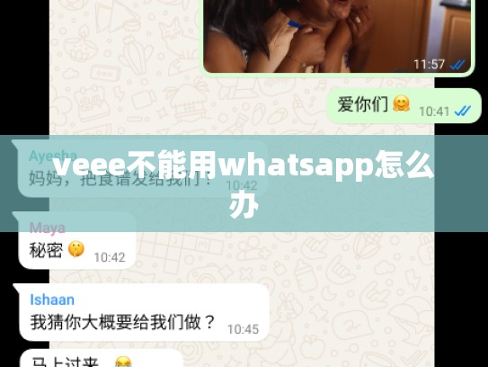 veee不能用whatsapp怎么办