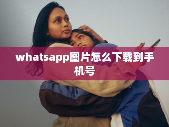 whatsapp图片怎么下载到手机号