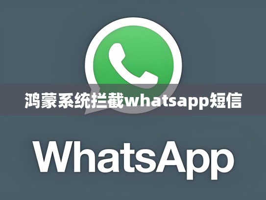 鸿蒙系统拦截whatsapp短信