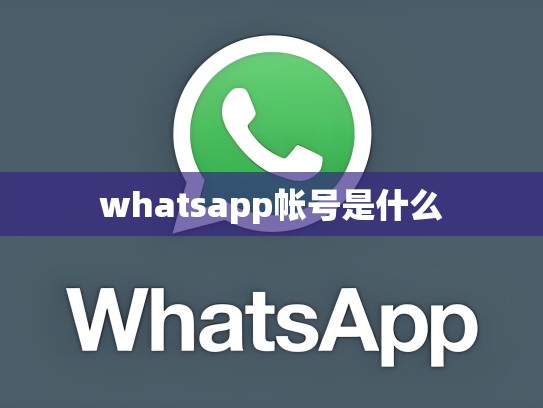 whatsapp帐号是什么