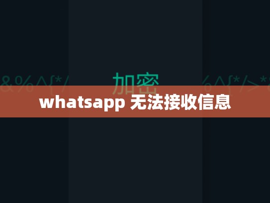 whatsapp 无法接收信息