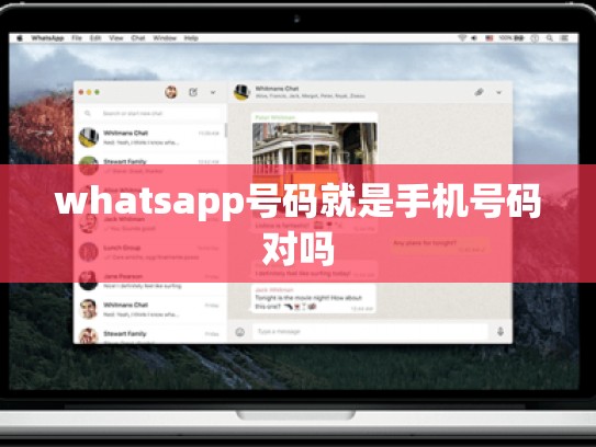 whatsapp号码就是手机号码对吗