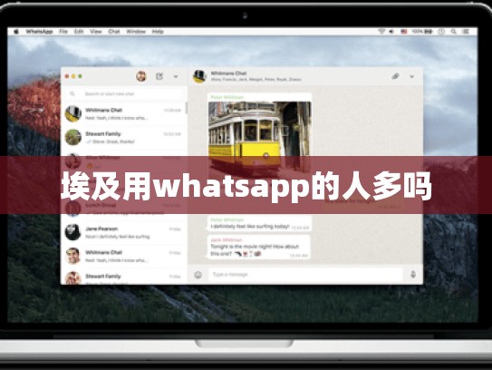 埃及用whatsapp的人多吗
