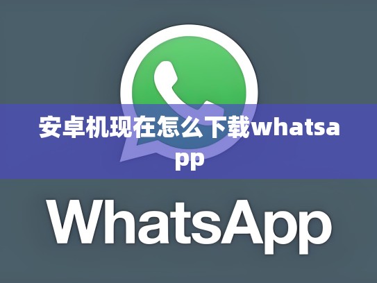 安卓机现在怎么下载whatsapp