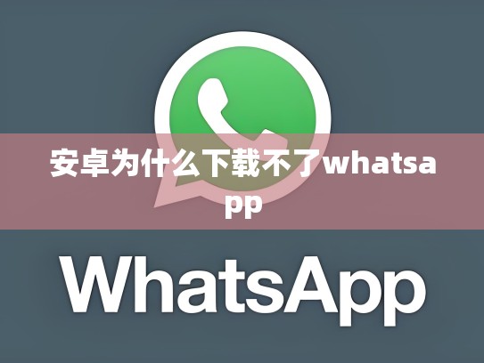 安卓为什么下载不了whatsapp