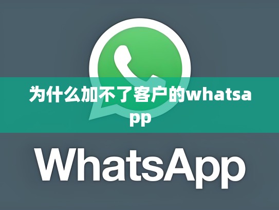 为什么加不了客户的whatsapp