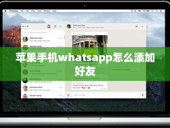 苹果手机whatsapp怎么添加好友