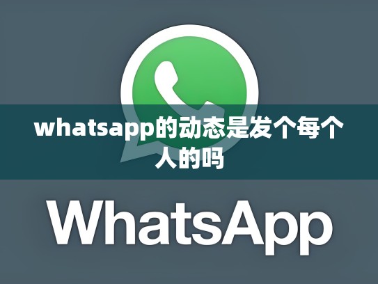 whatsapp的动态是发个每个人的吗