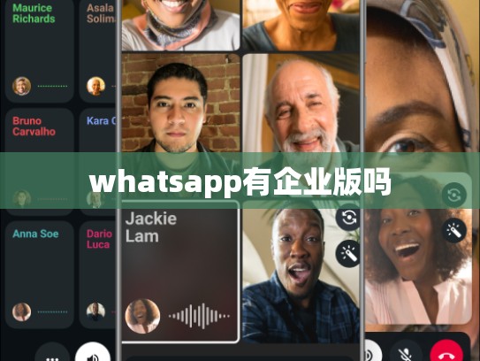 whatsapp有企业版吗