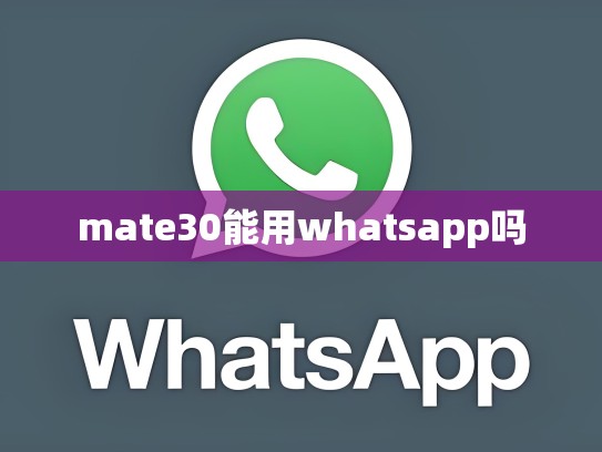 mate30能用whatsapp吗