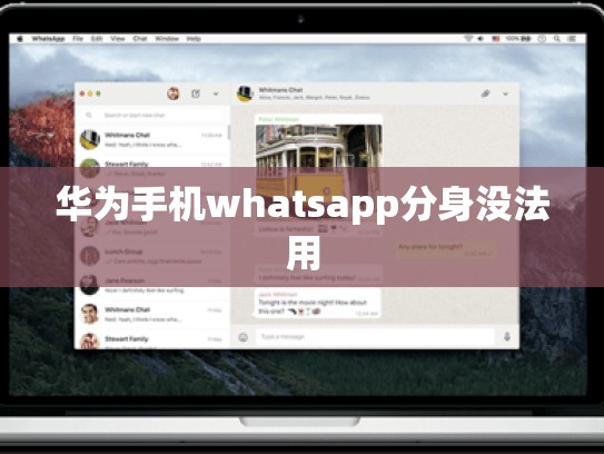 华为手机whatsapp分身没法用