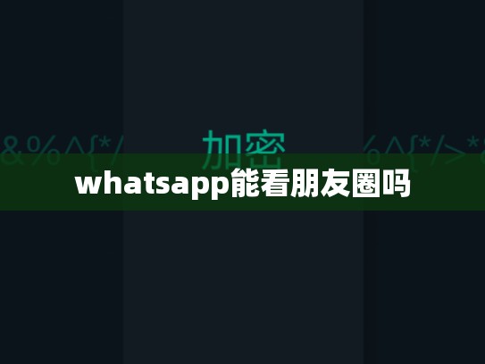 whatsapp能看朋友圈吗