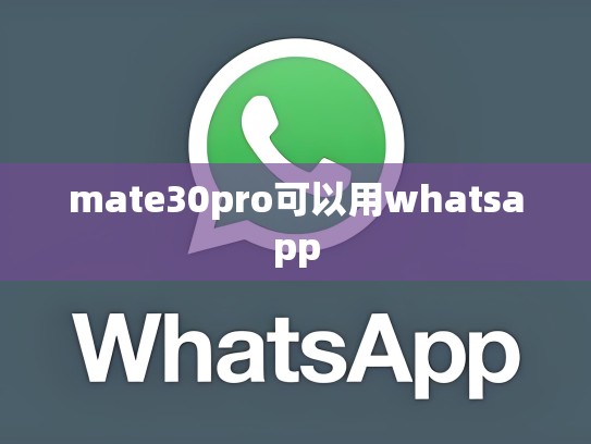 mate30pro可以用whatsapp